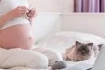 Приметы для беременных с кошками