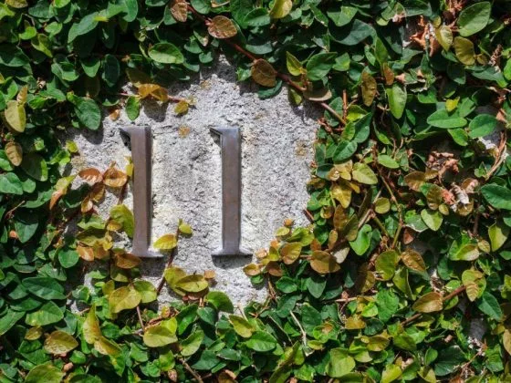 Значение числа 1111 в Ангельской нумерологии