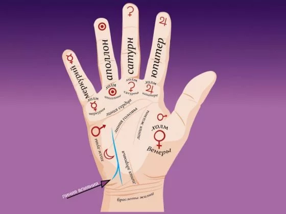 Значение линии влияния на руке в хиромантии