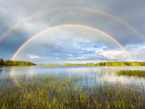 Dozhd Na Ivana Kupala Primety