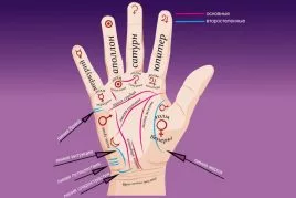 Основные и второстепенные линии на руке