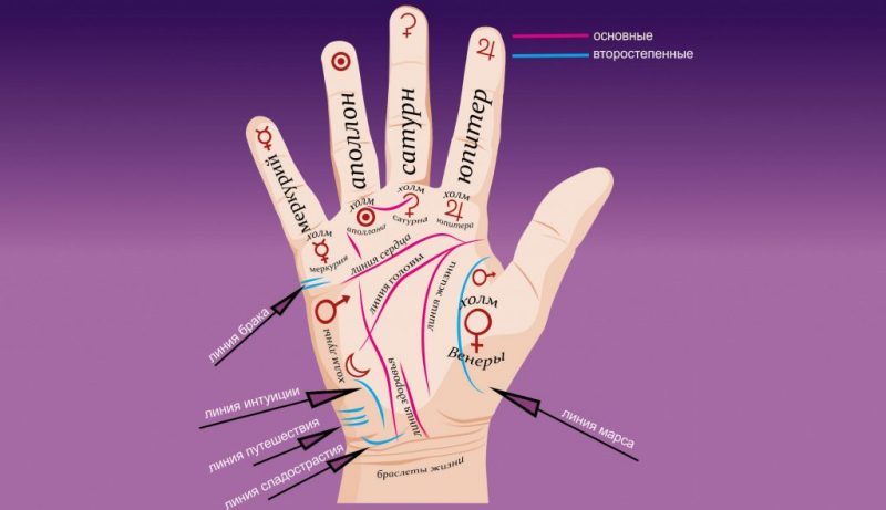 Линии на руке толкование с картинками левая рука