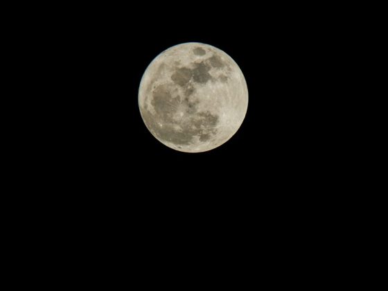увидеть полную луну примета. Смотреть фото увидеть полную луну примета. Смотреть картинку увидеть полную луну примета. Картинка про увидеть полную луну примета. Фото увидеть полную луну примета