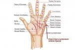 Что значит линия Развода в Хиромантии