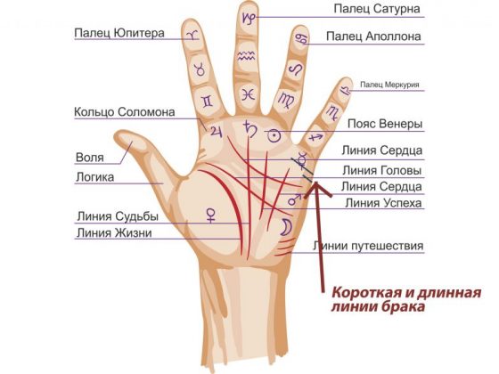 как узнать по руке о разводе. liniya razvoda. как узнать по руке о разводе фото. как узнать по руке о разводе-liniya razvoda. картинка как узнать по руке о разводе. картинка liniya razvoda.