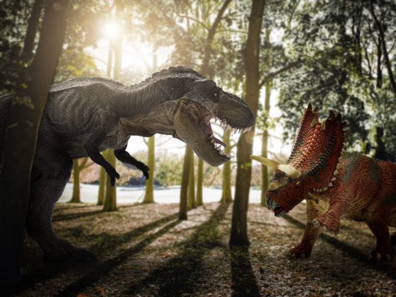 Видеть динозавра в лесу – к неожиданной встрече