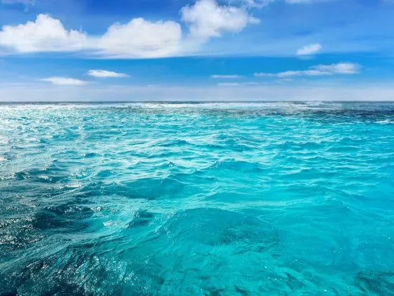 Видеть голубой океан с чистой водой – к решению проблем