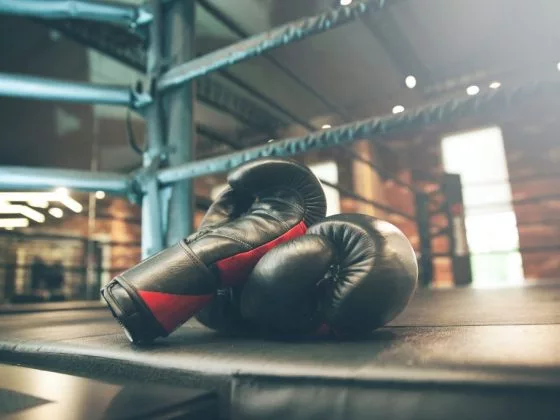 Боксерские перчатки сулят финансовые потери