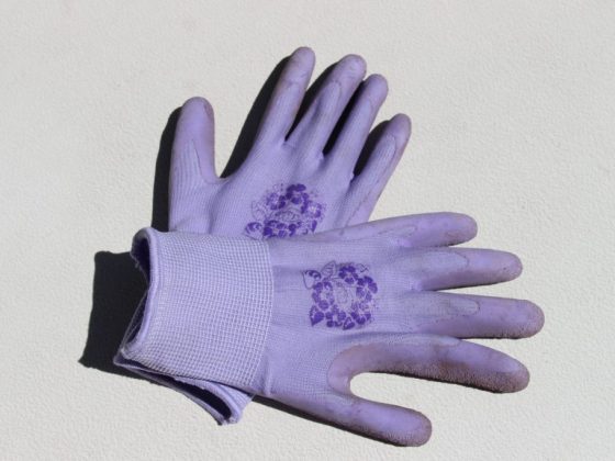 gardening gloves purple gloves work gardening finger hand dirty 960683